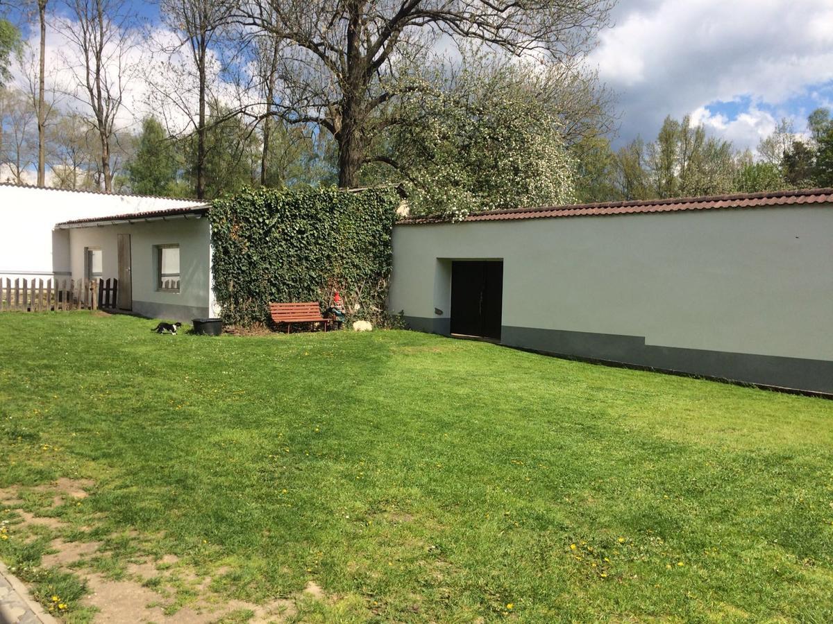 Ubytovani U Lva Žirovnice Exterior foto