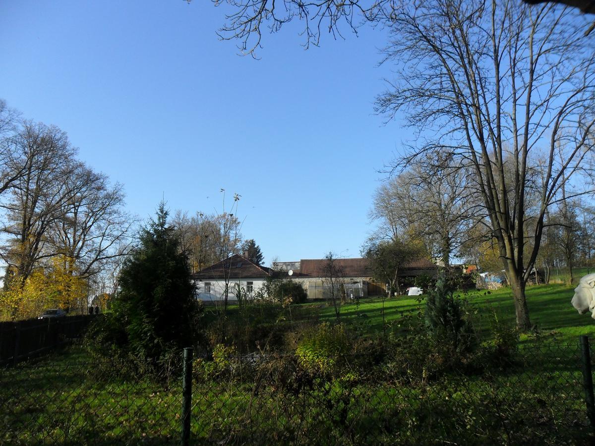 Ubytovani U Lva Žirovnice Exterior foto